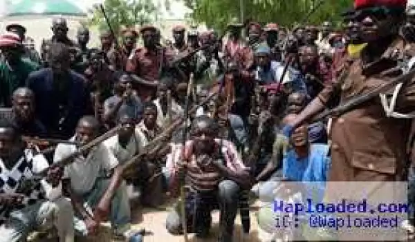 Two male suicide bombers killed by vigilantes in Maiduguri